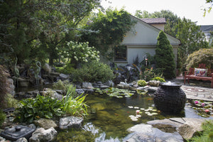How to Prepare a Koi Pond for Summer
