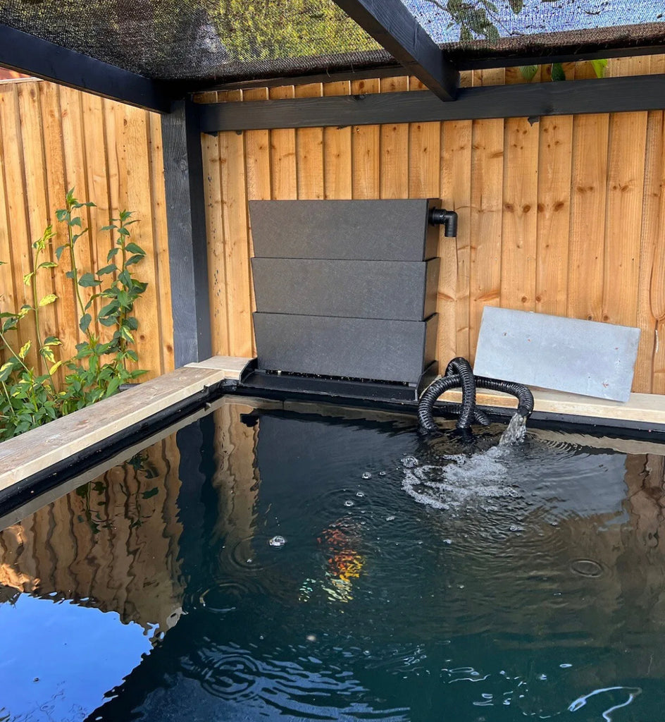 A Guide To Koi Pond Filtration