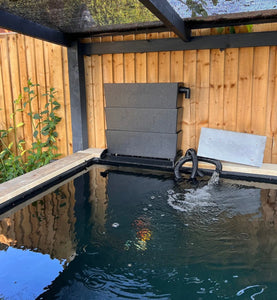 A Guide To Koi Pond Filtration