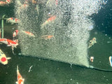 Tornado Airstorm Weighted Bubble Curtains - Apex Koi