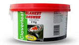 Cloverleaf Blanket Answer - Apex Koi
