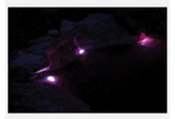 Pontec PondoStar LED RGB Set 3 - Apex Koi