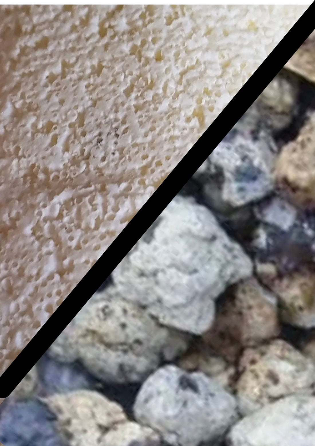 Alfagrog vs. Far Infrared Bacteria House: Which Media Wins?