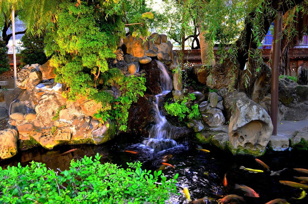 Koi Pond Design