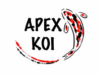 Apex Koi