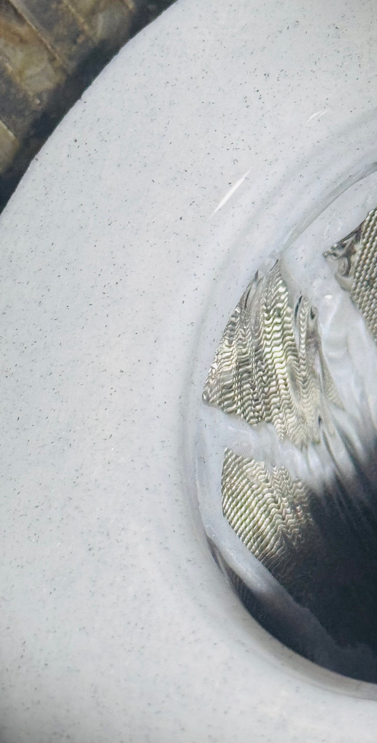 Drop In Sieve For The EazyPod - Apex Koi