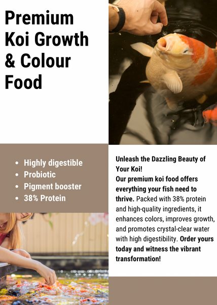 Premium Koi Growth & Colour Food Medium - Apex Koi