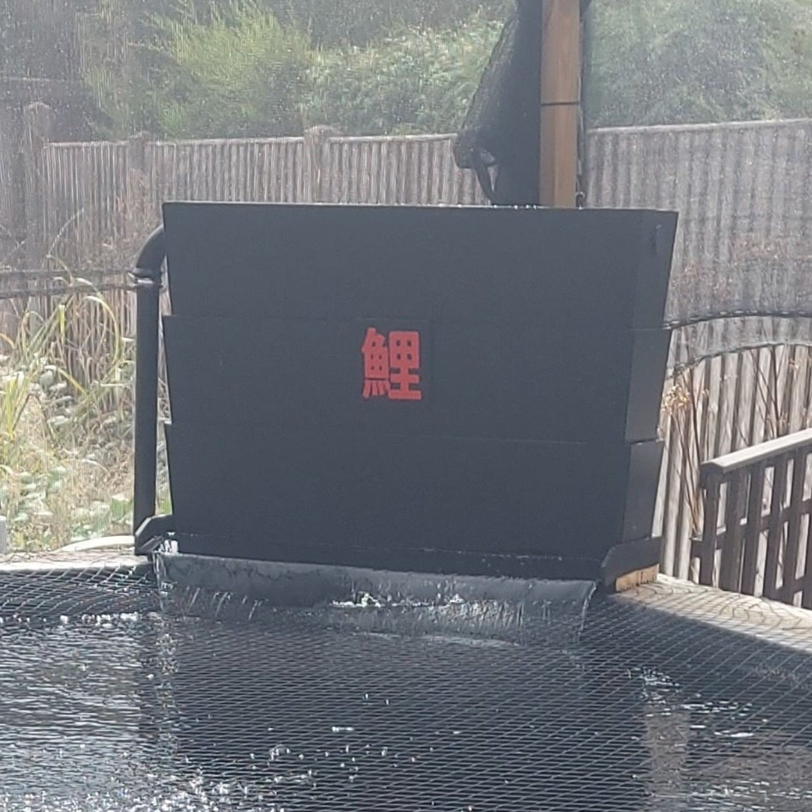 A large outdoor koi pond under a black mesh canopy, with several colorful koi fish swimming in the lower tank and a black rectangular device mounted on the back wall.