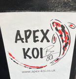 Bio Box Moving Bed Filter - Apex Koi