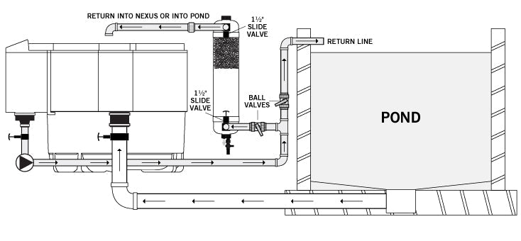 The Tempest Filter - Apex Koi